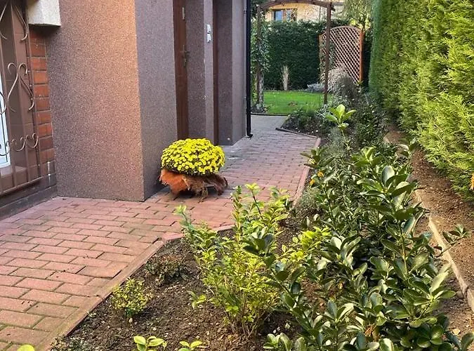 Maly Apartament Z Kuchnia I Lazienka
